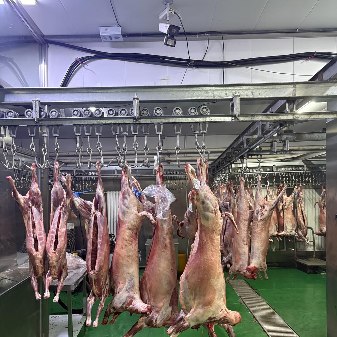 龙鑫源鲜羊肉业小时达南极市场