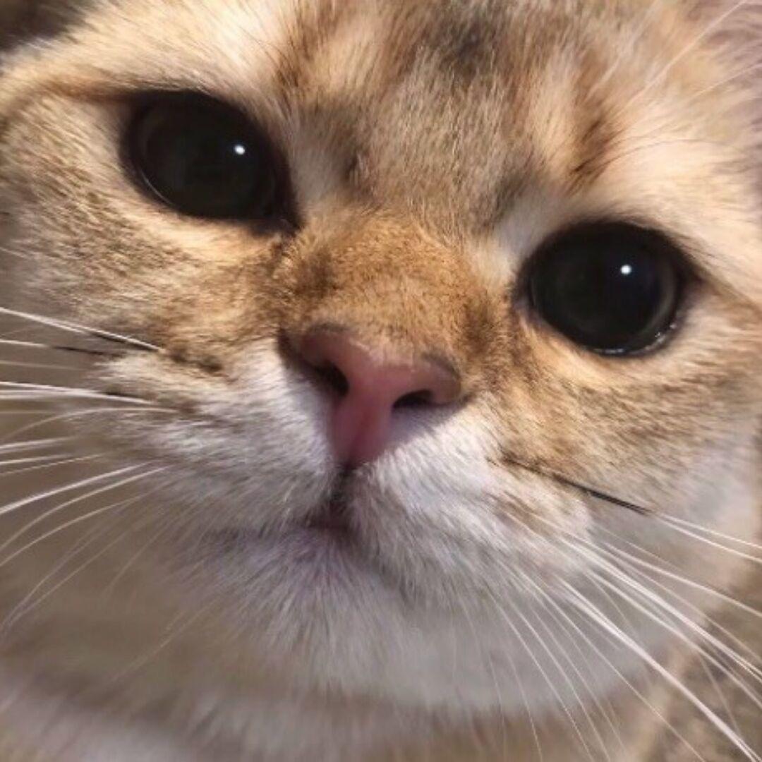 忘了