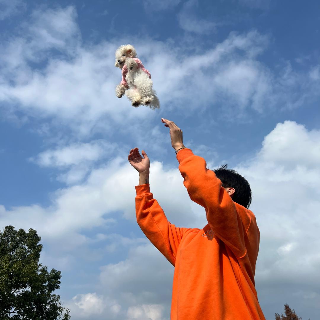 小美爱吃糖🍬（奶爸版）