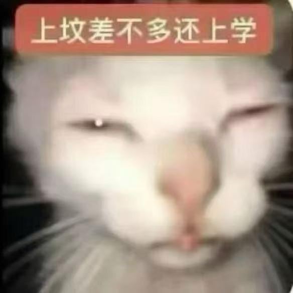 可以🍕