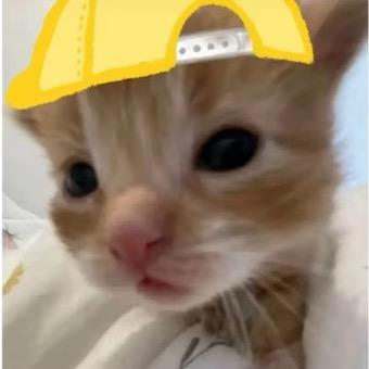 只想睡觉