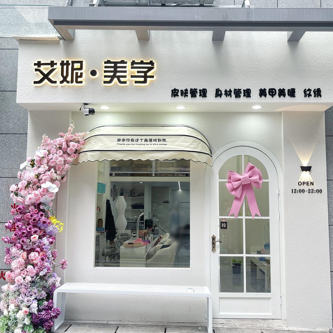 艾妮·美学