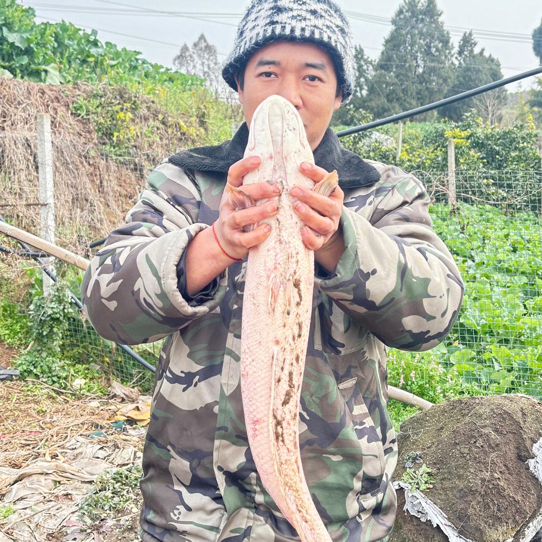 户外阿明