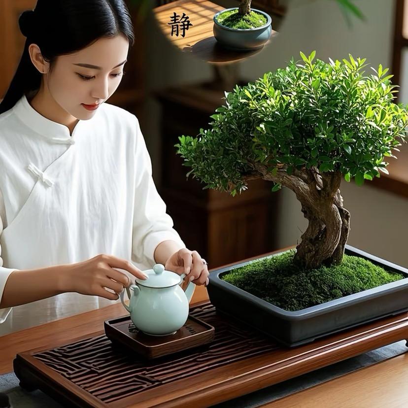 曦