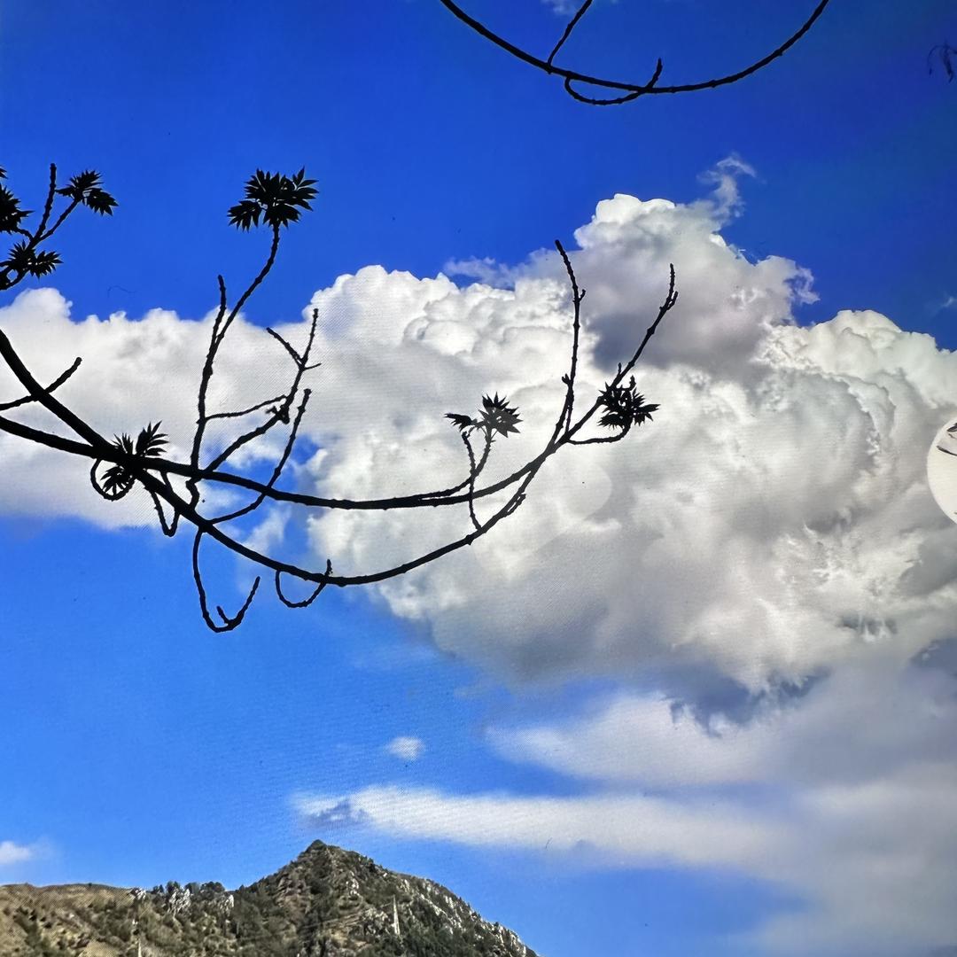 烟台辰沃机械有限公司