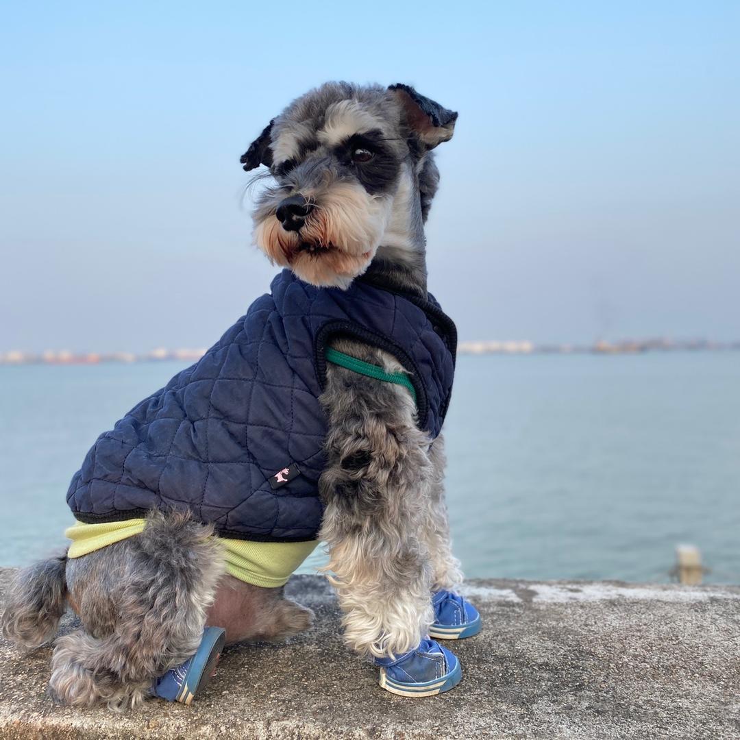 有Money更要有Lucky