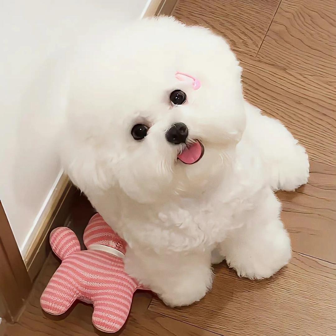 领汪家旺