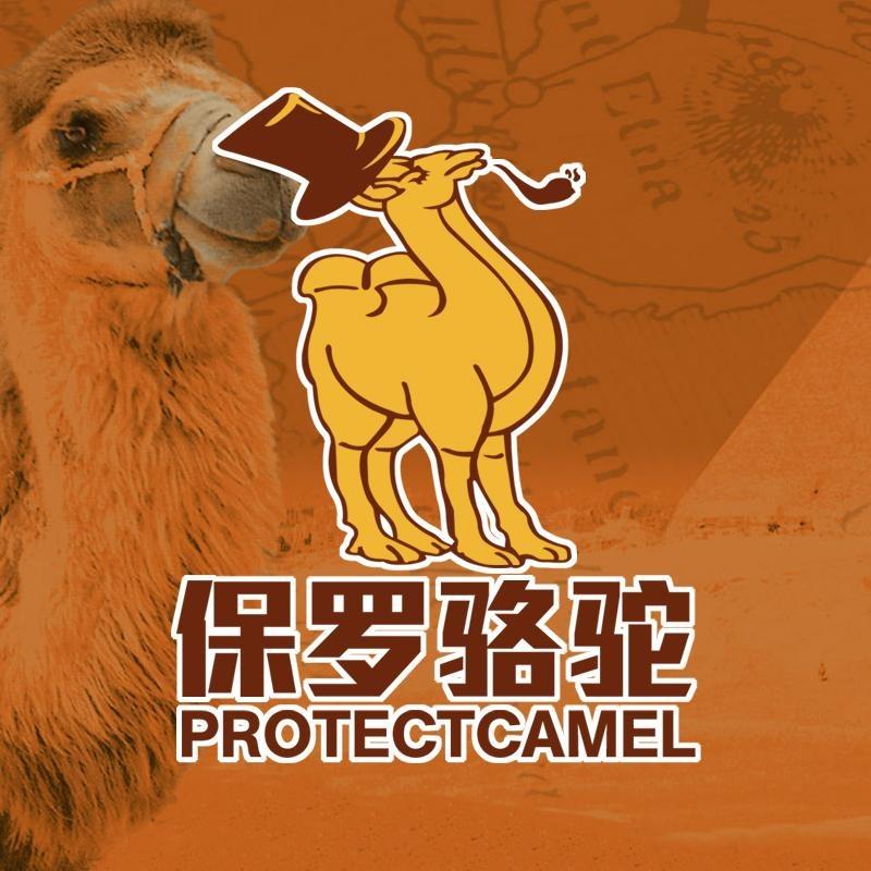 保罗骆驼森伽鞋类专卖店