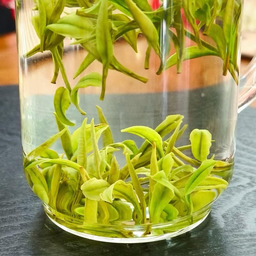 千茶百惠安吉白茶