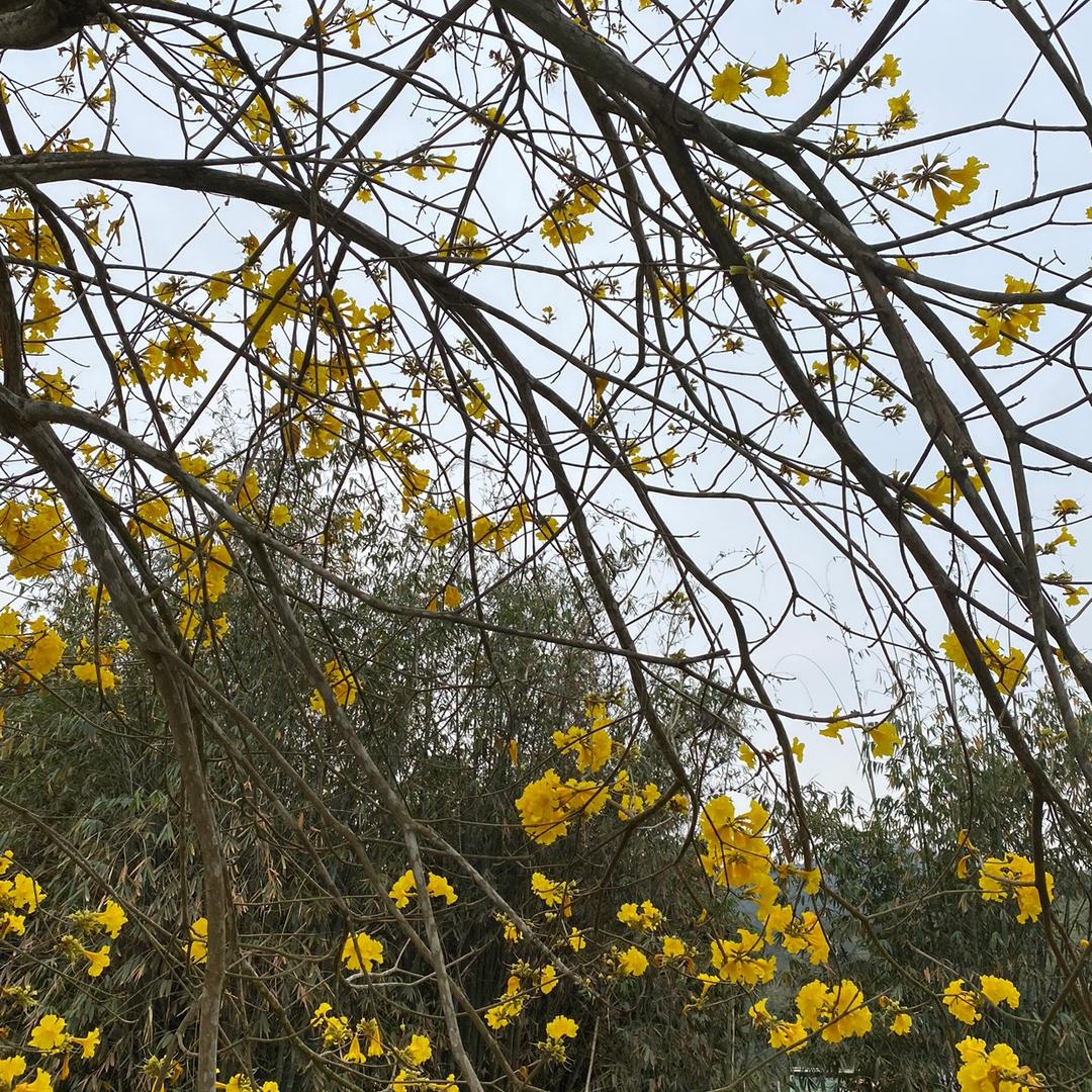 。・゜・・゜・。