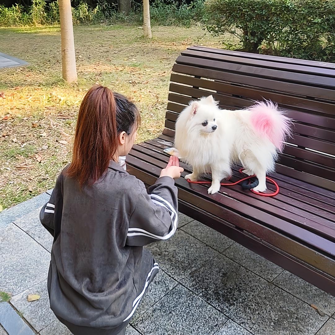 贰月（又禁，能看到点个赞）