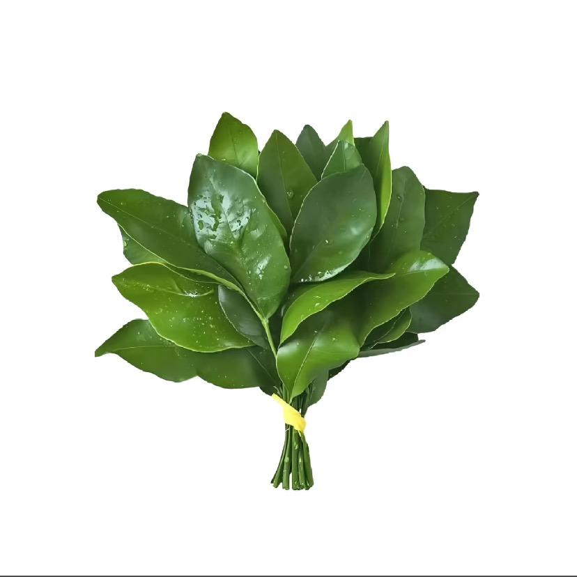 帆总破局