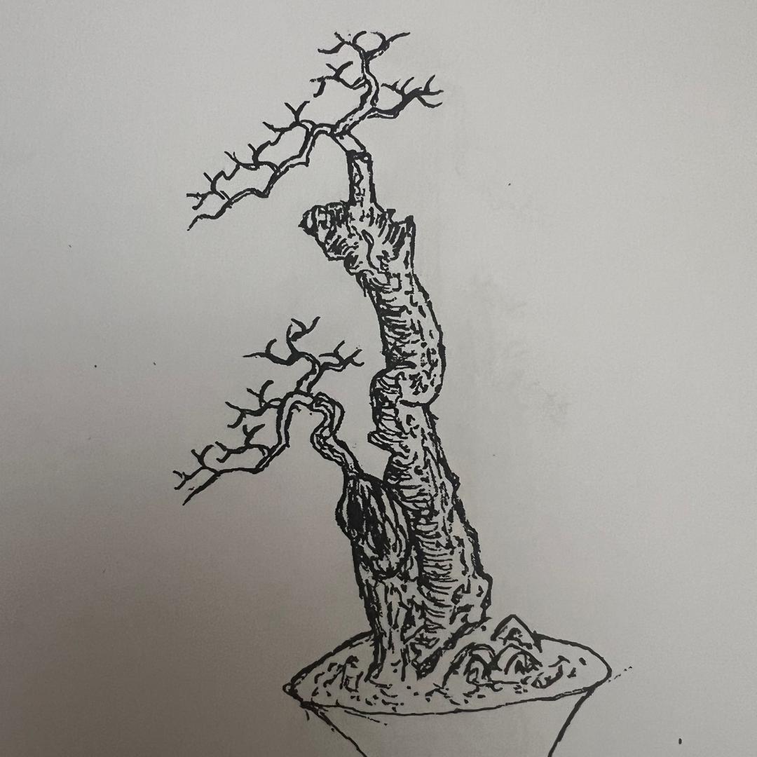 一休堂金弹子010