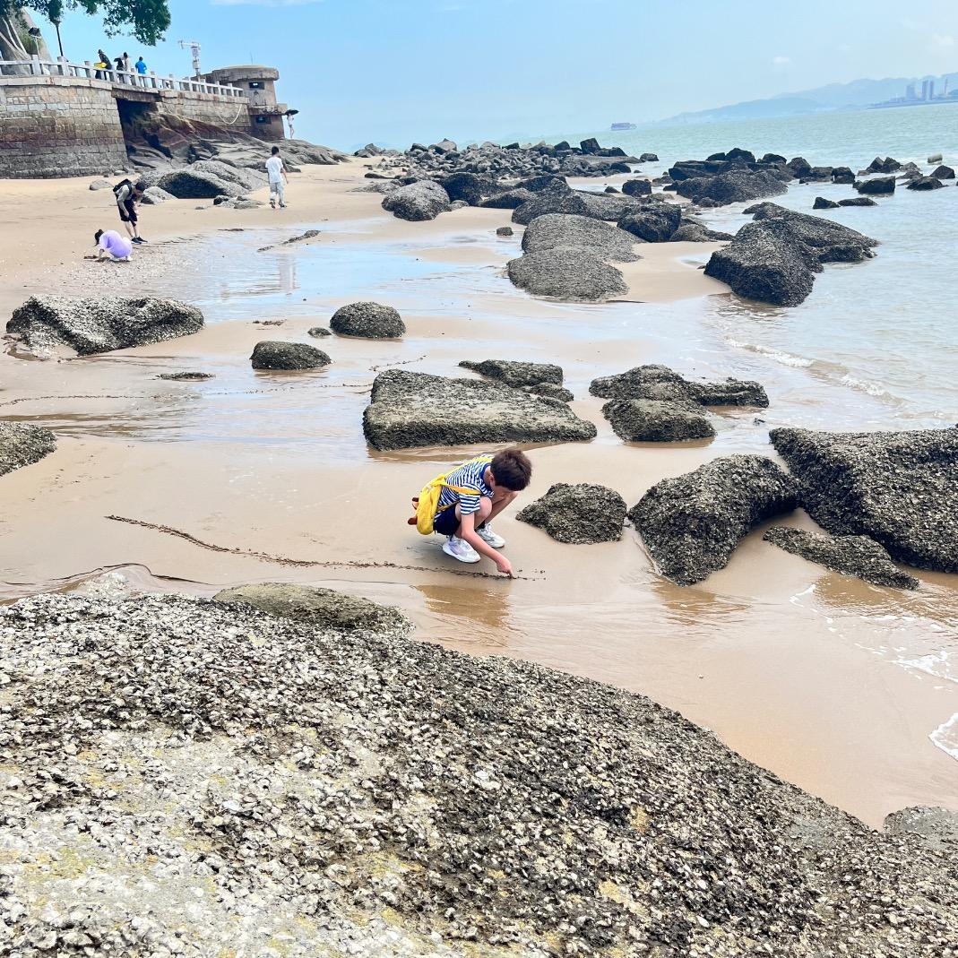 山摇摇～路遥遥～