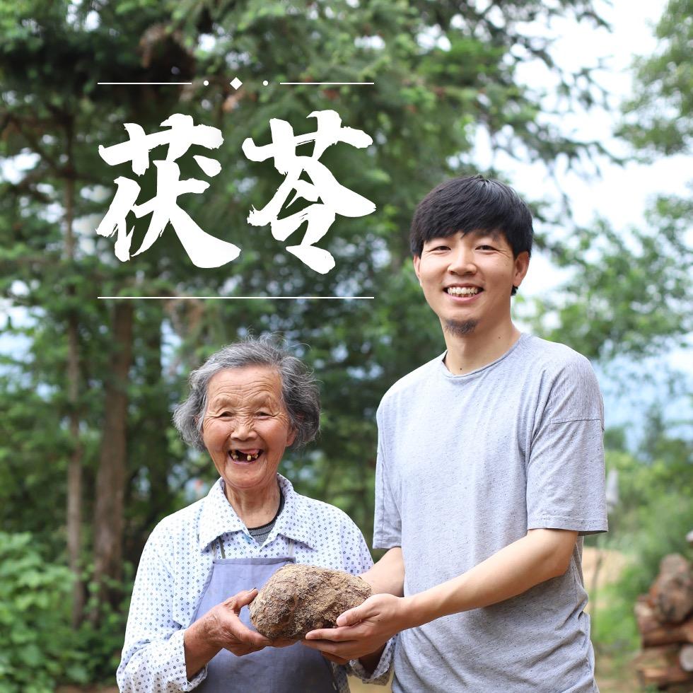 茯苓王子殿下