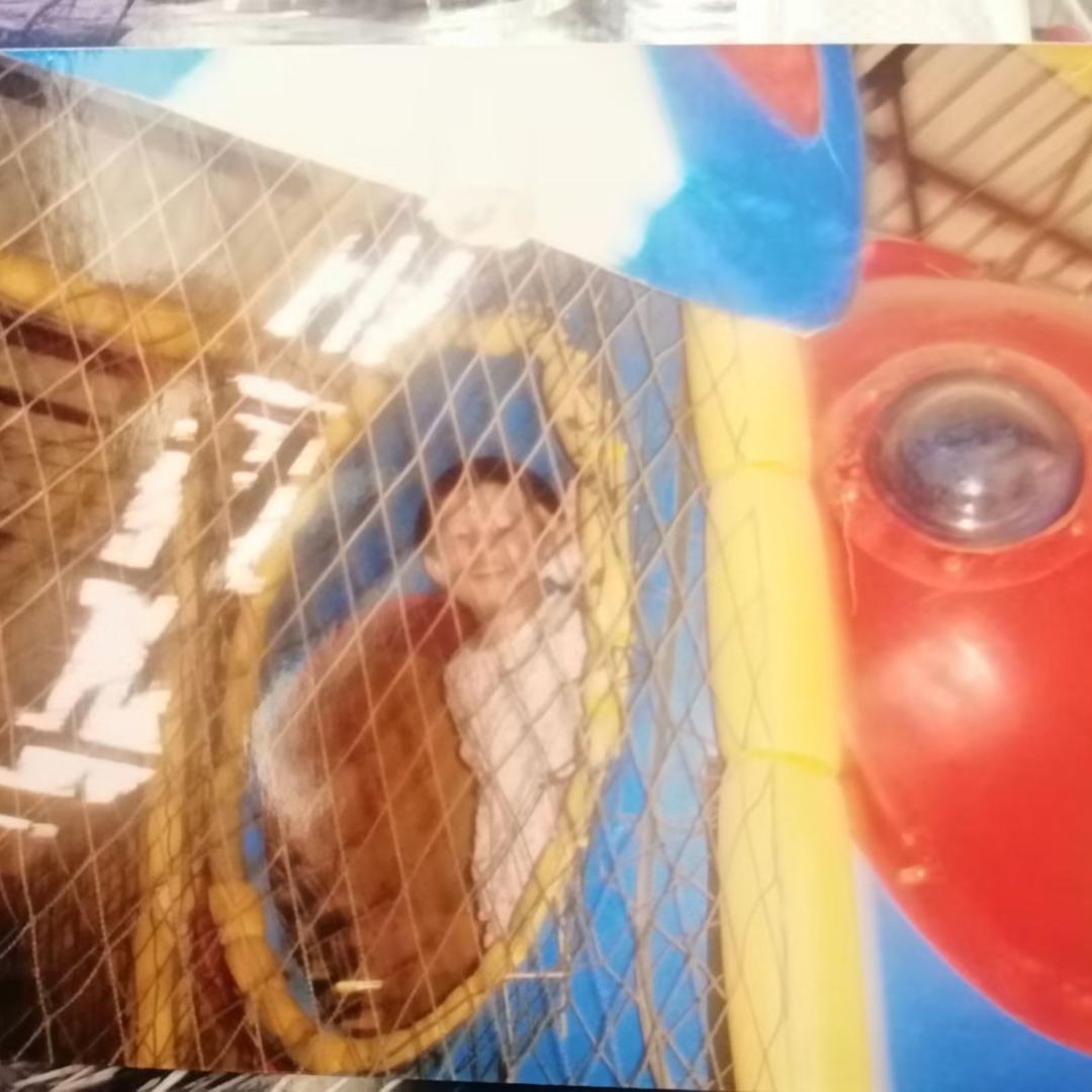 向禹