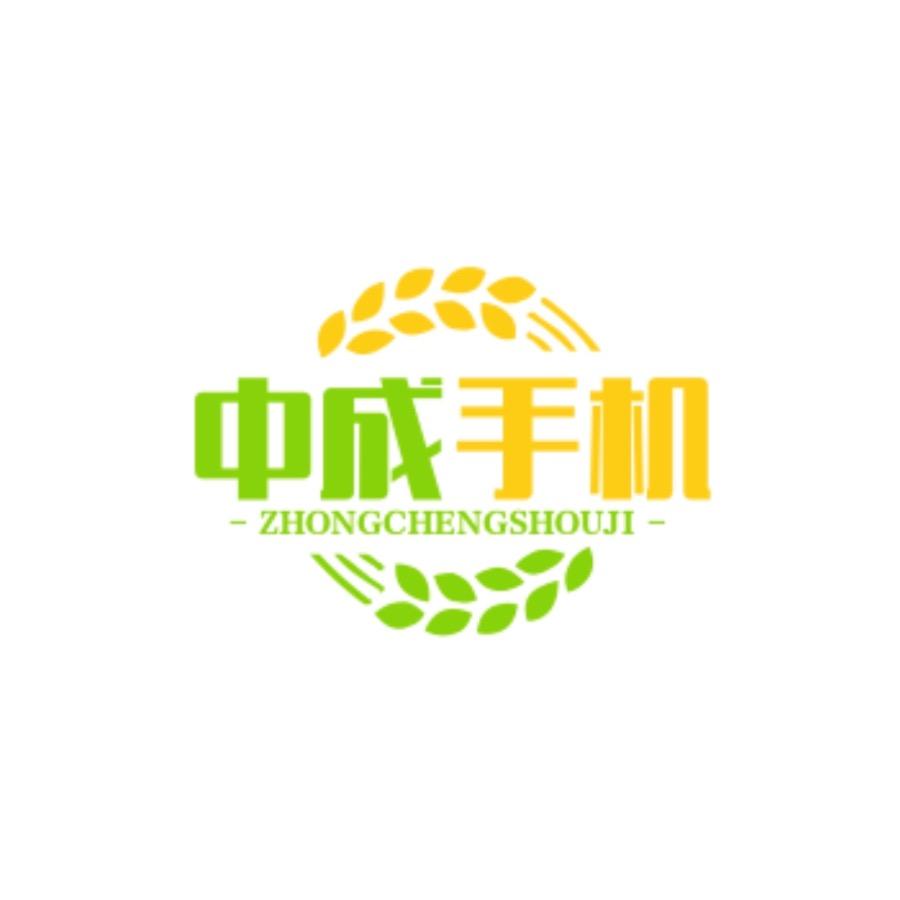 中成数码