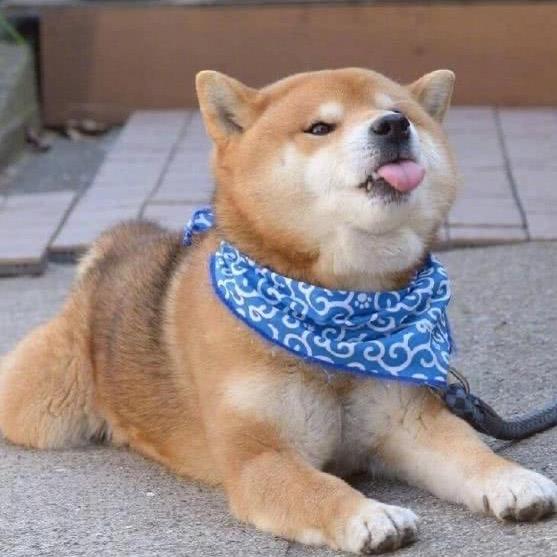 拿铁少糖少奶