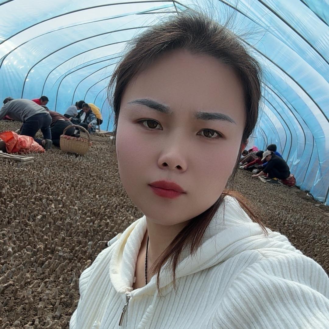 艳艳种葛根