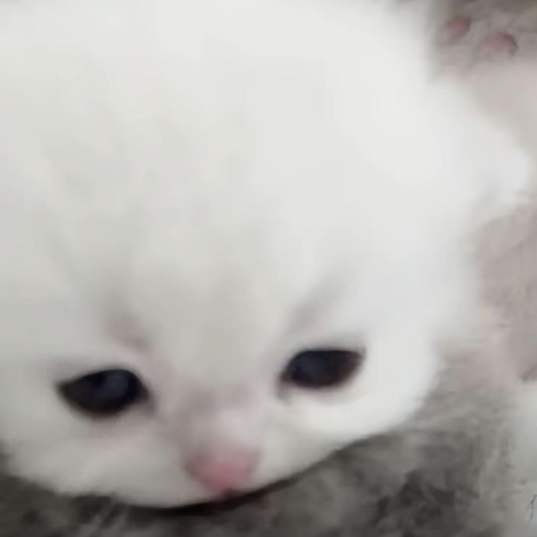 Agony