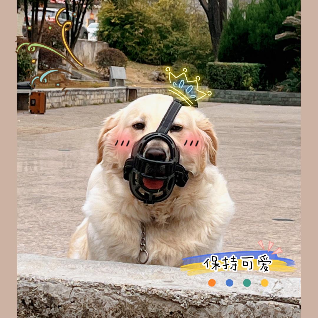 是绿茶不是“绿茶”