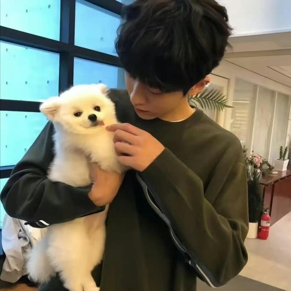 就是蠢猪.