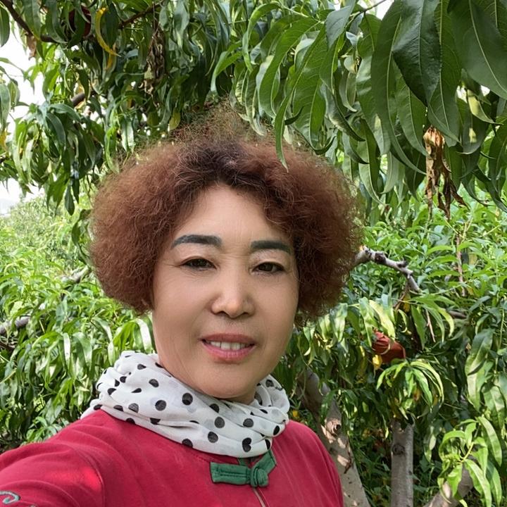 新泰大姐
