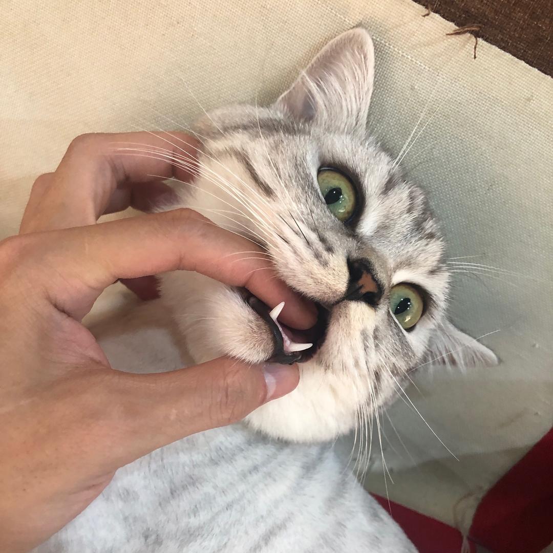 简自在