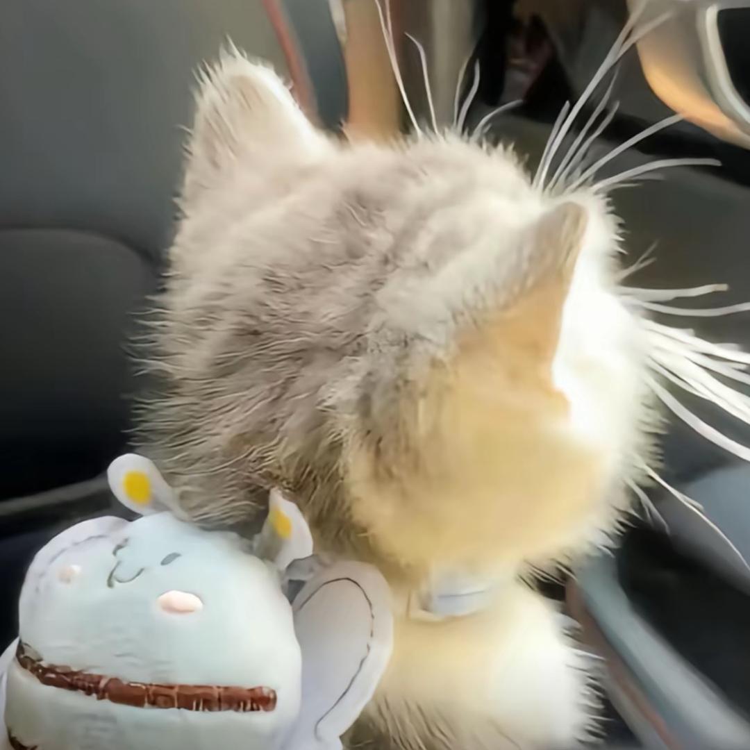 辞念🪽（秤砣😋）