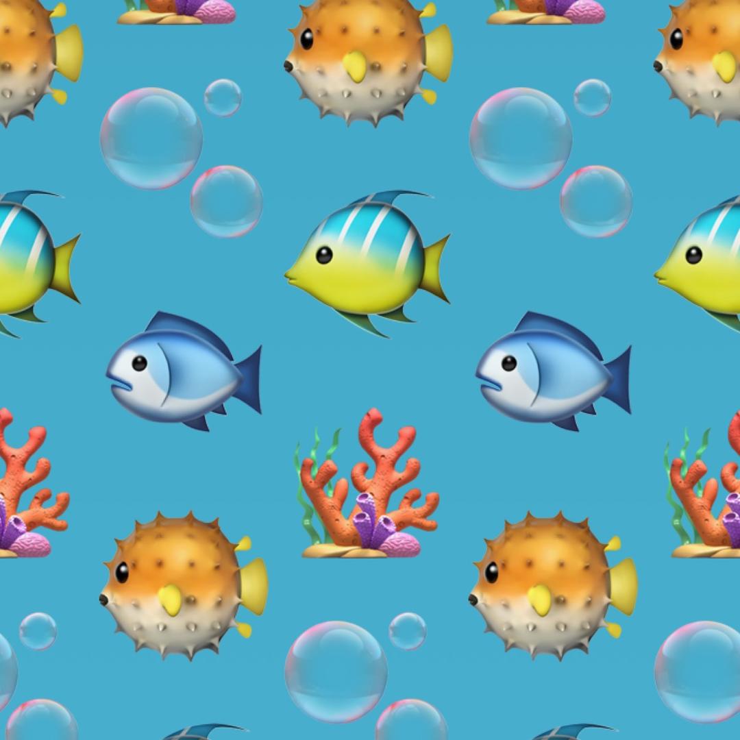 山东娃娃潮玩社