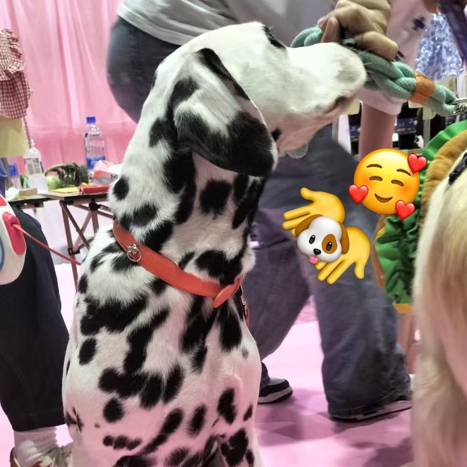 珊珊珊珊珊瑚鱼