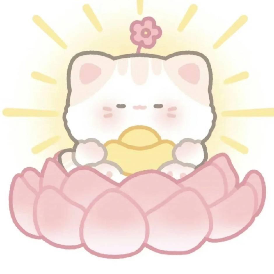 月月的宝藏日记