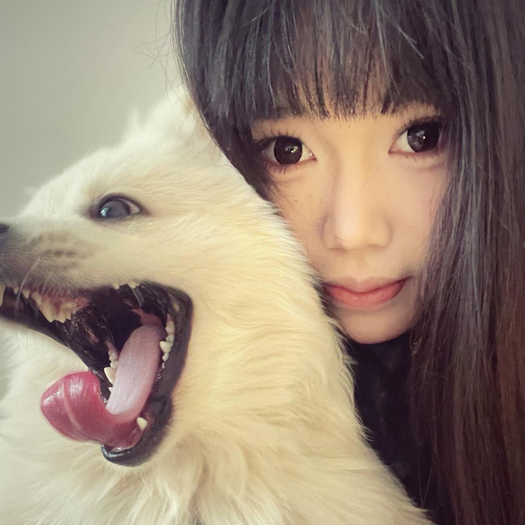 @快乐 小狗