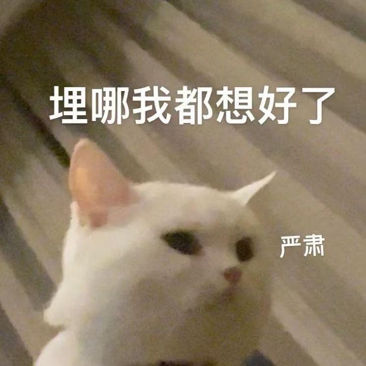 渺