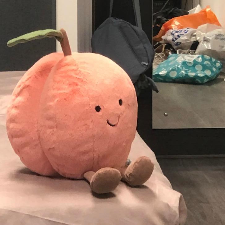 辣条仙女（15号生日版）