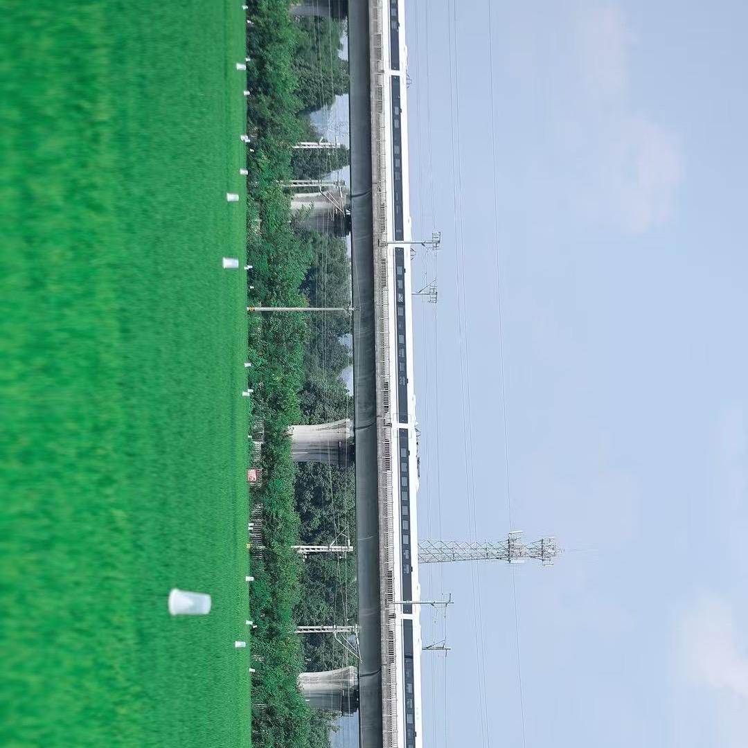 执念。