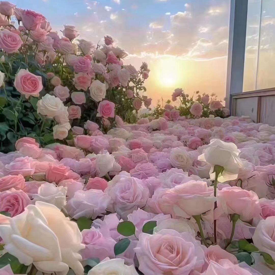 王莉，房产交易