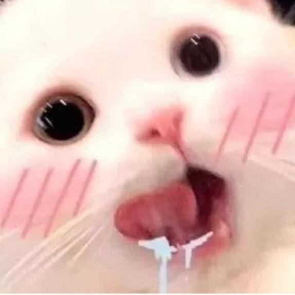 我的 Shake壶会飞