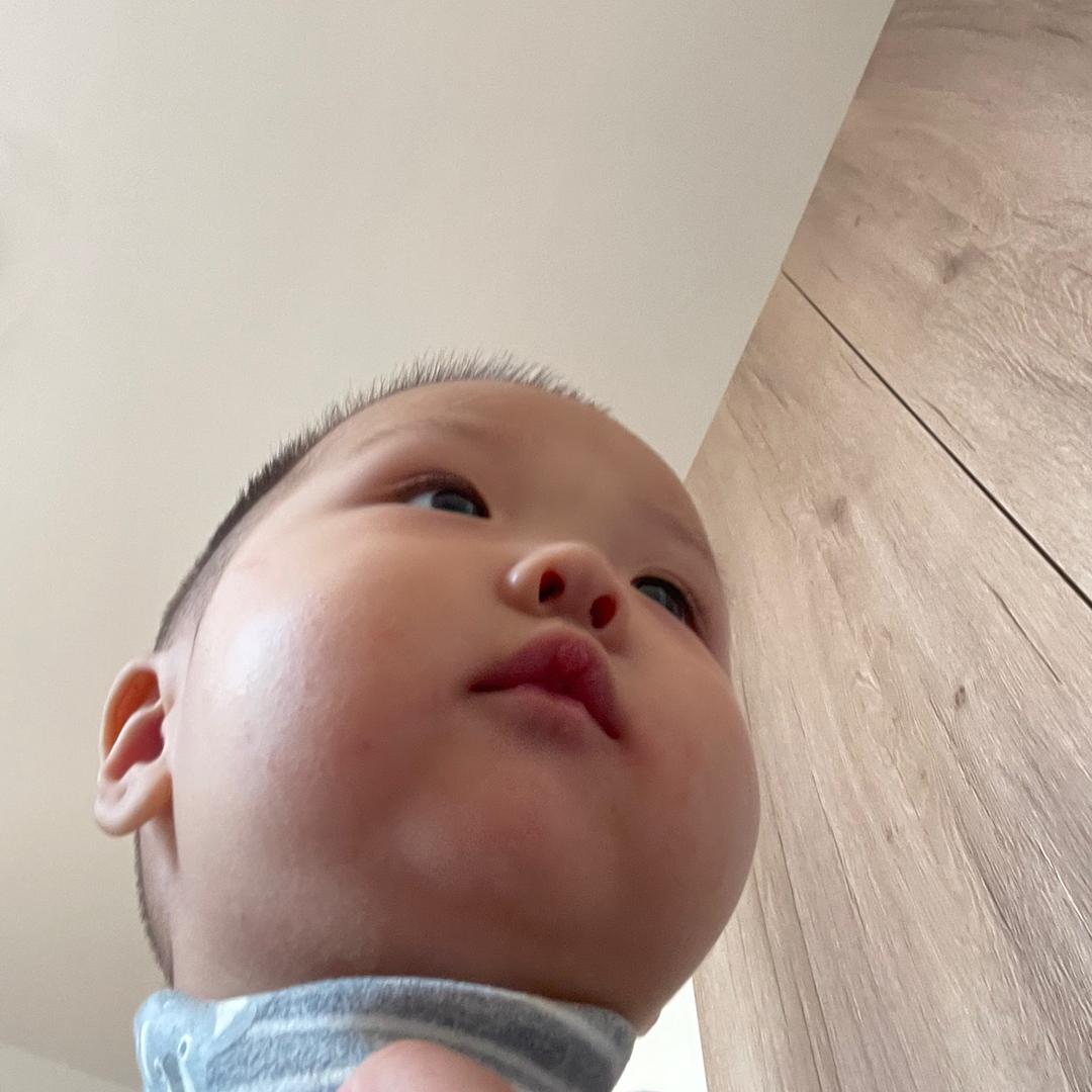 小刘刘的日常