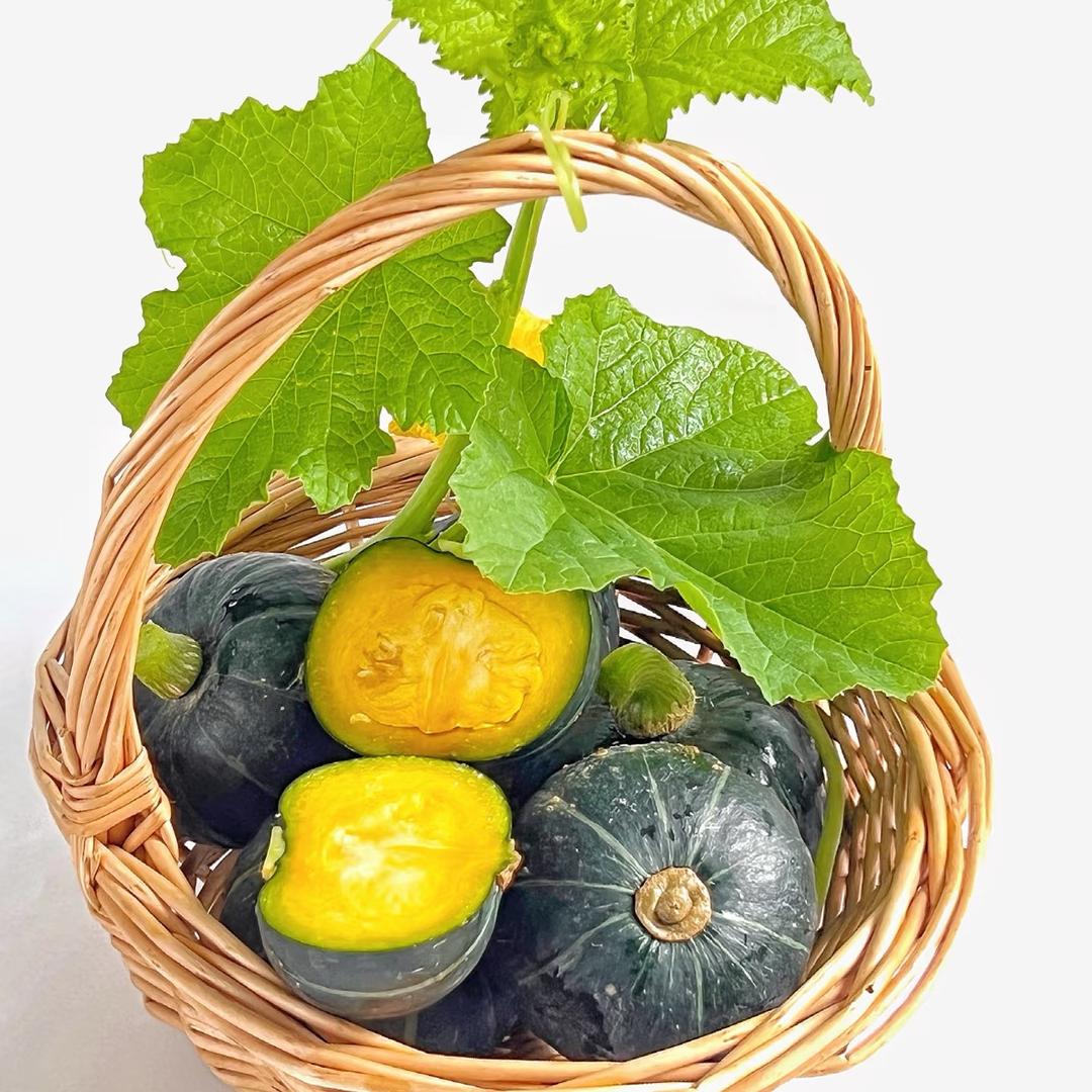 山东真贝贝南瓜