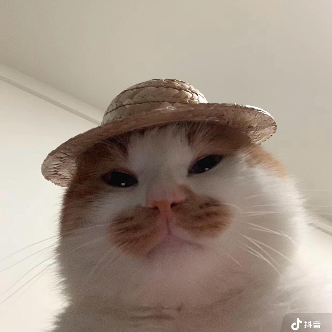 西伯利亚花果山社恐蕾丝性感大母猴