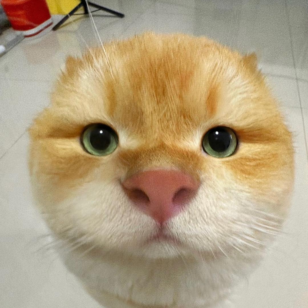 小修帽