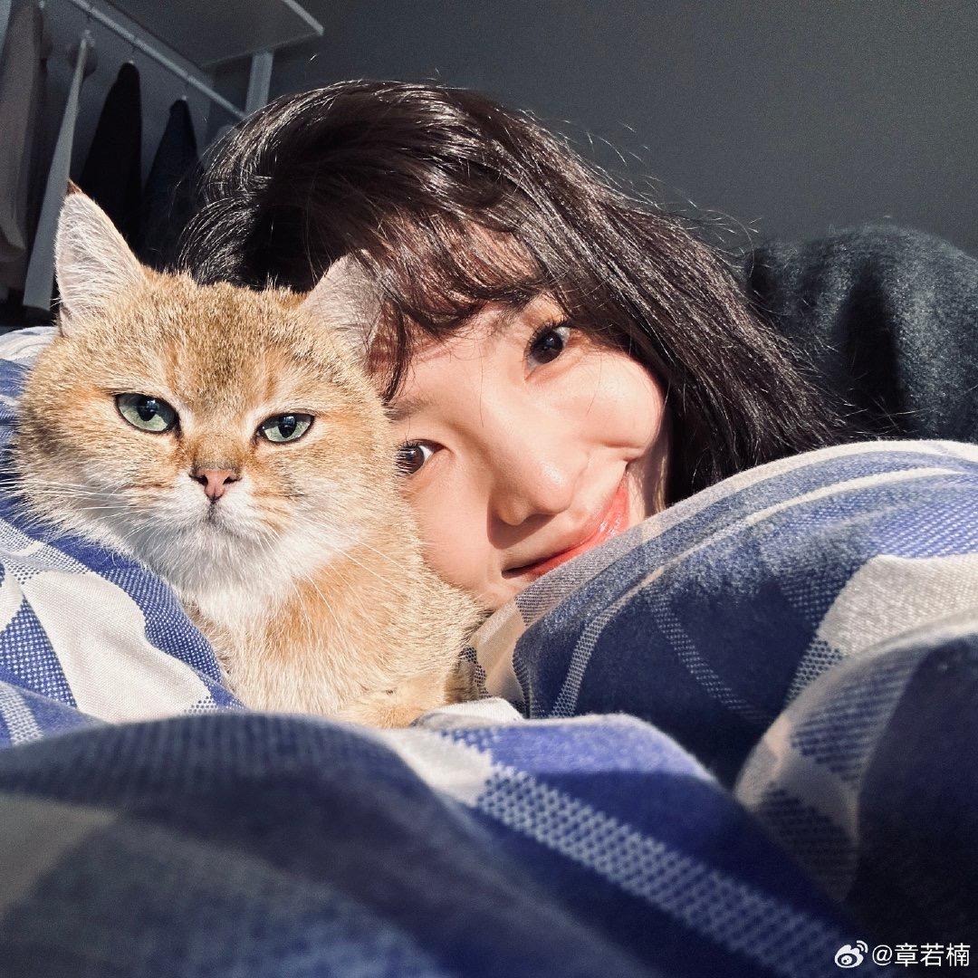萱萱萱萱哟