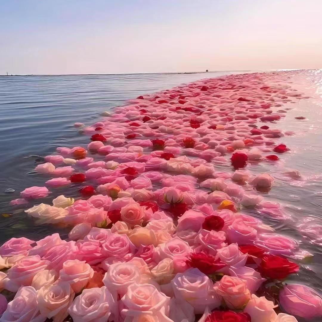 💞Rosᴇᴼ