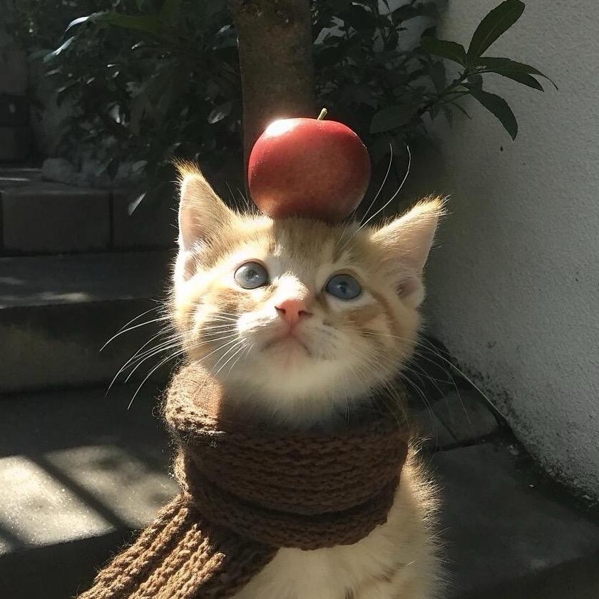 1010