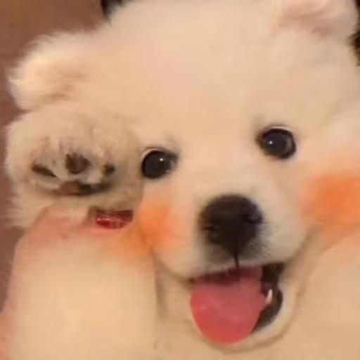 我的名字七个字_