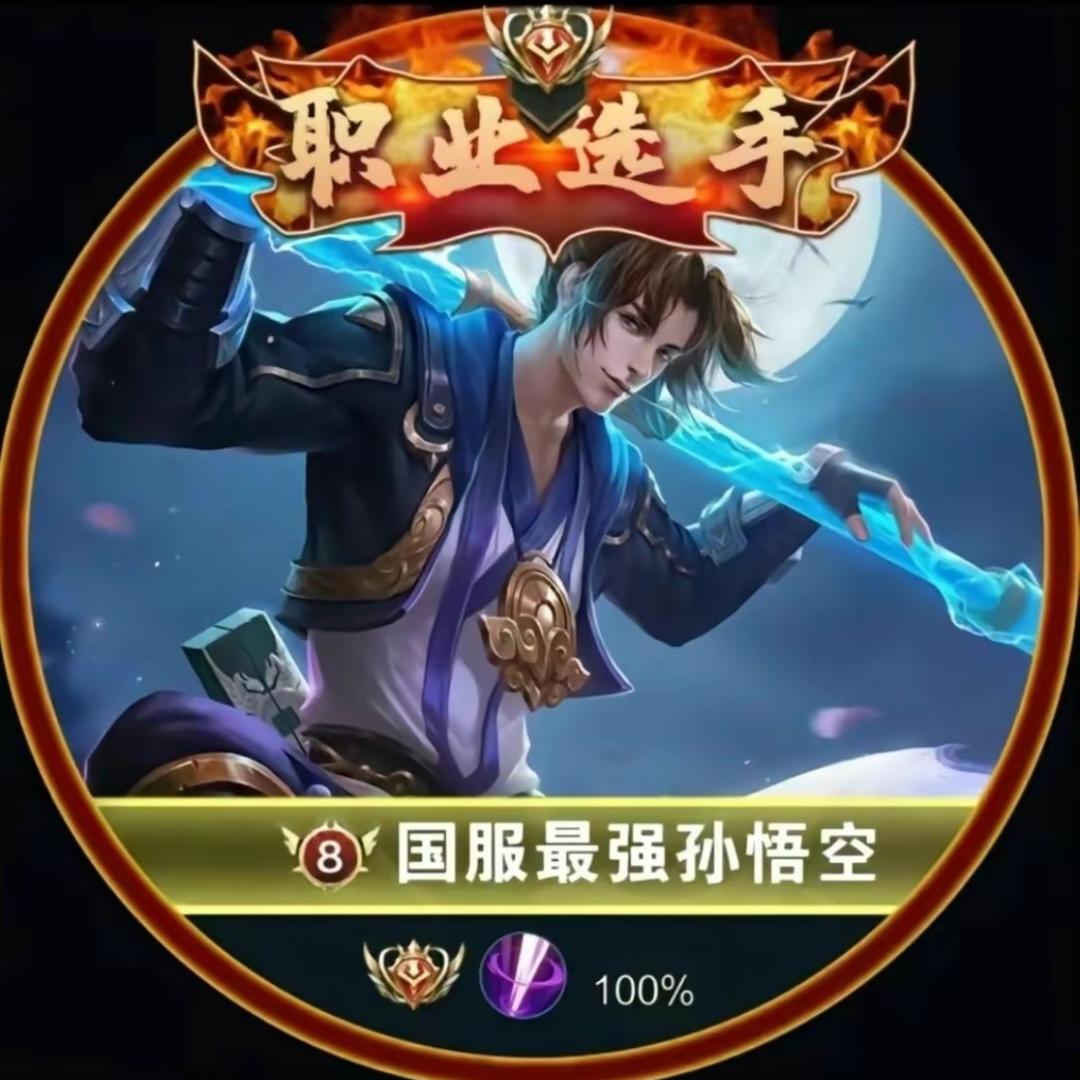 最强王者孙悟空（反mc）