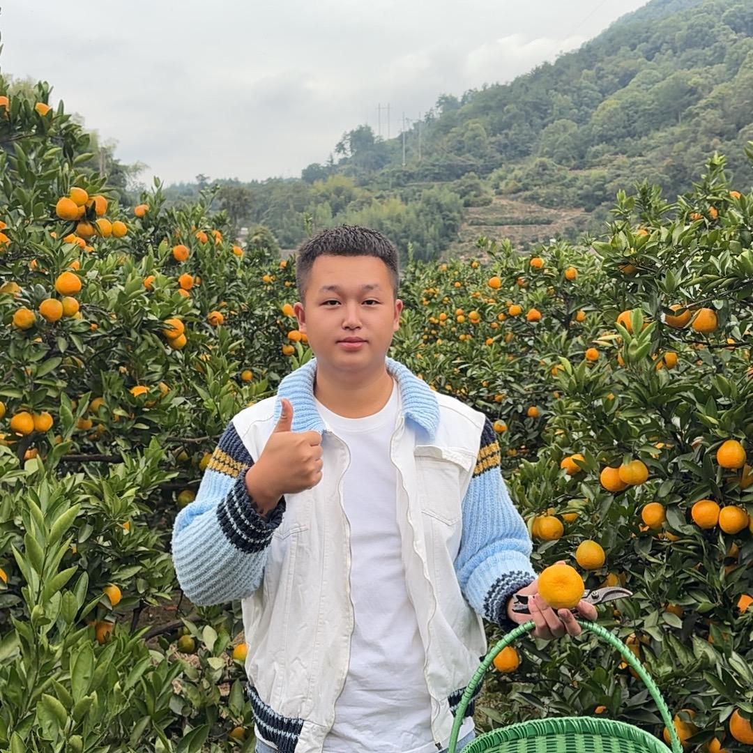 王BB呀✌️（橘子大王🍊）