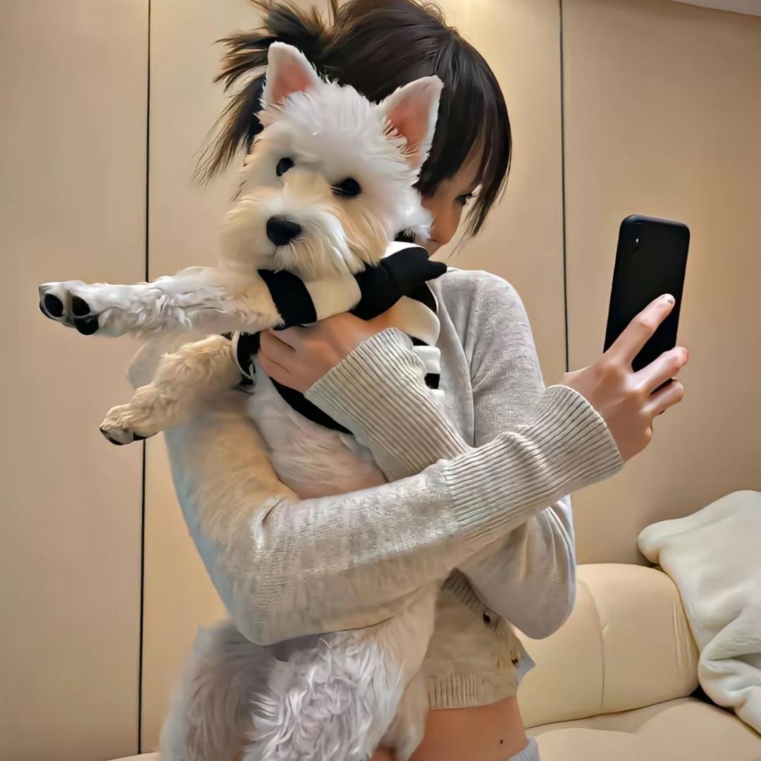 三水楠