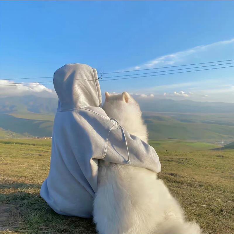 🐱园园